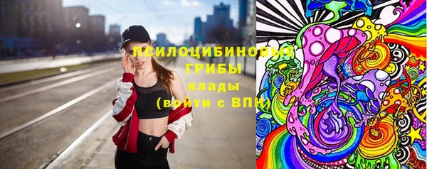 Альфа ПВП Белокуриха