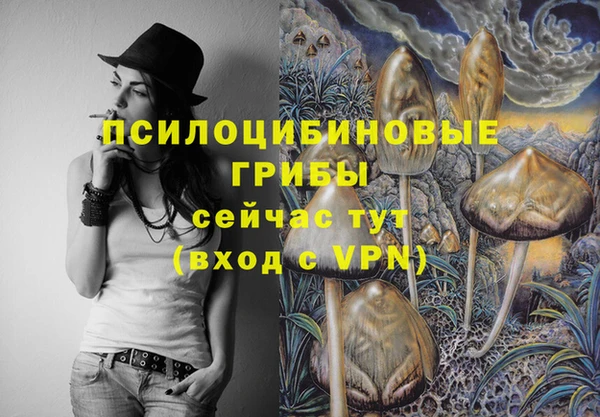 прущий лед Белоозёрский
