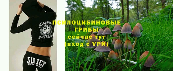 трава Беломорск