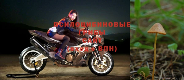 трава Беломорск