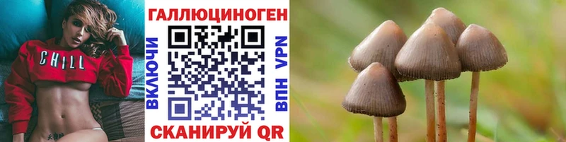 купить наркотик  Курск  Галлюциногенные грибы прущие грибы 